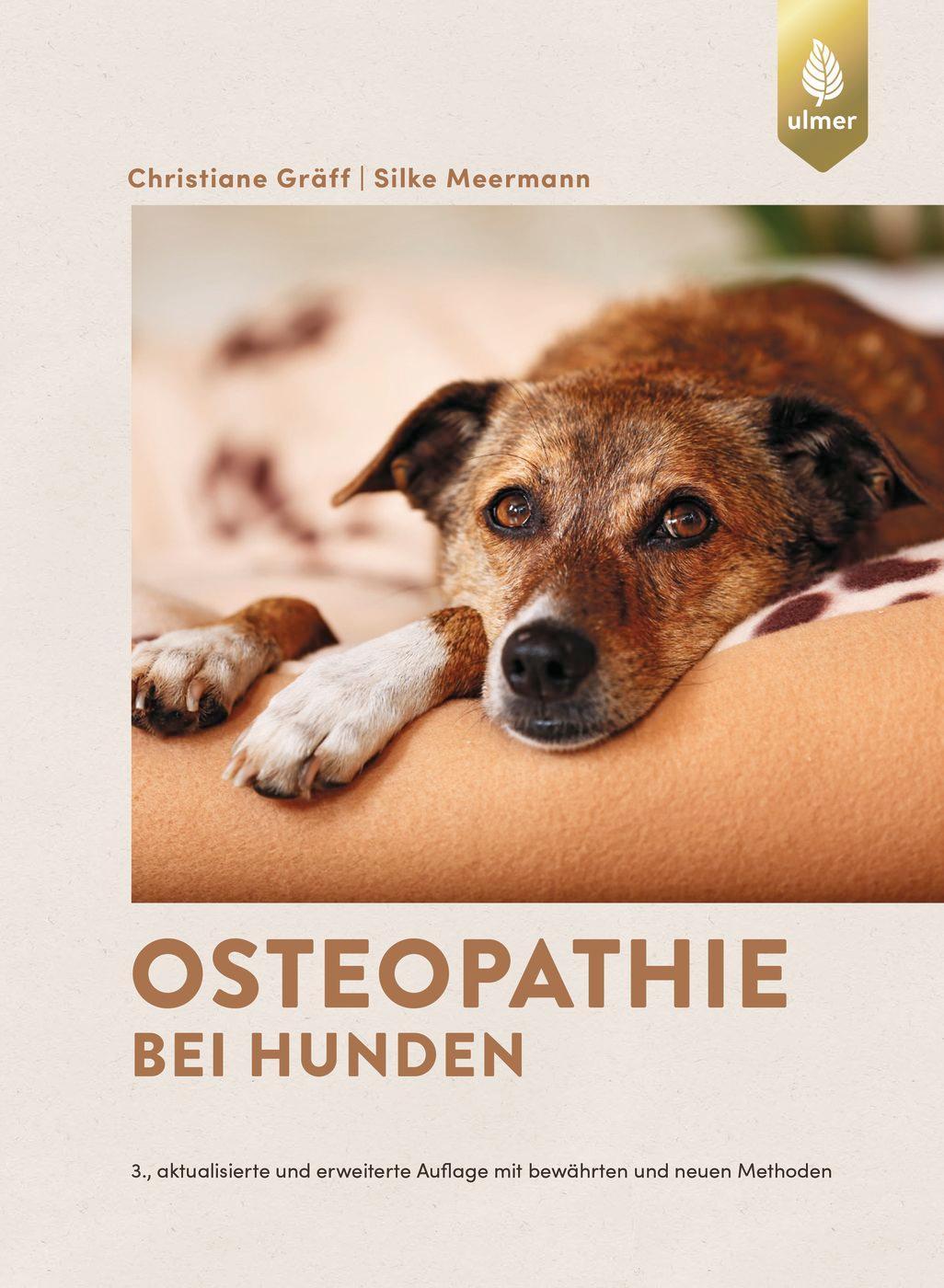Osteopathie bei Hunden