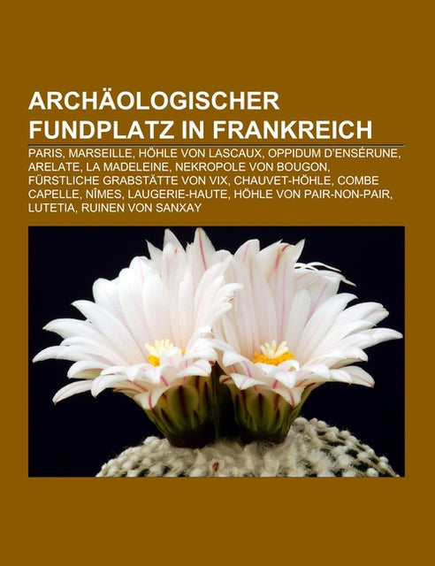 Buchcover: Archäologischer Fundplatz in Frankreich
