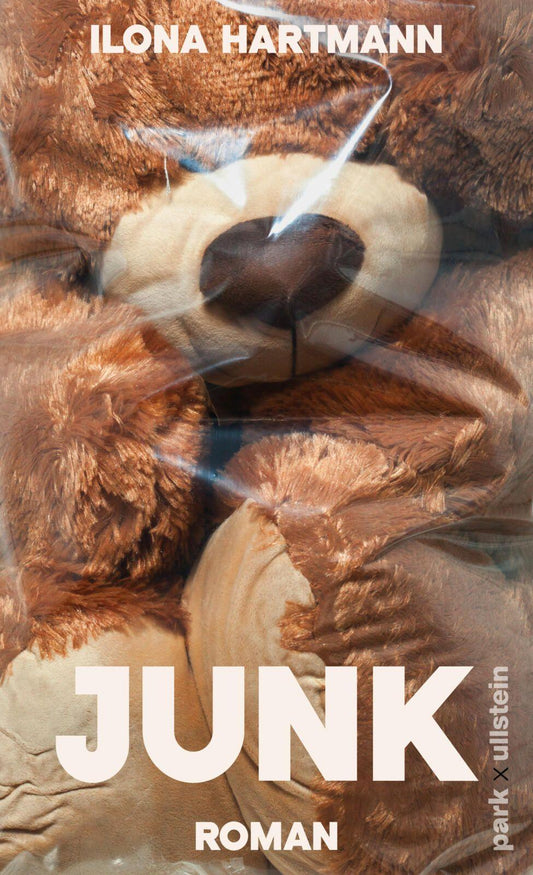 Junk: Roman | Ein Roman über die Angst vor dem, was kommt, und die überraschende Versöhnung mit dem, was war