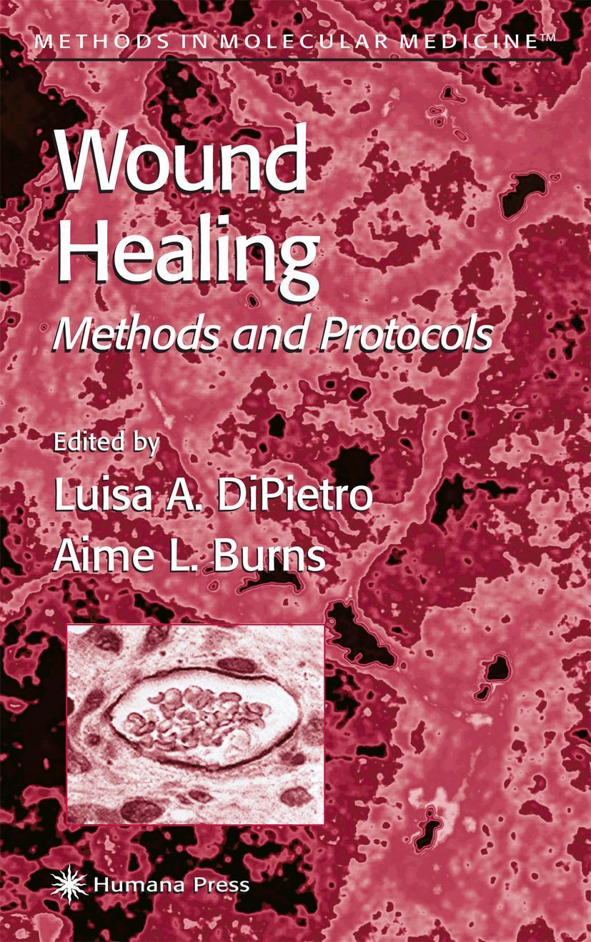 Buchcover: Wound Healing