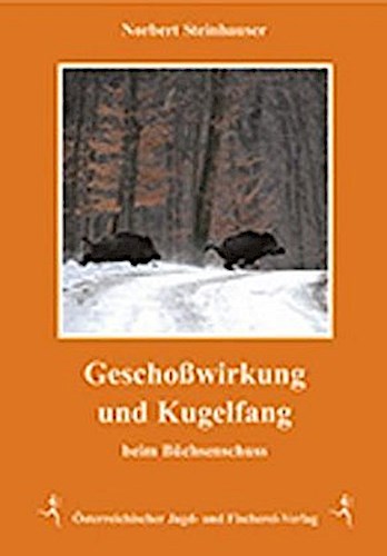 Geschoßwirkung und Kugelfang