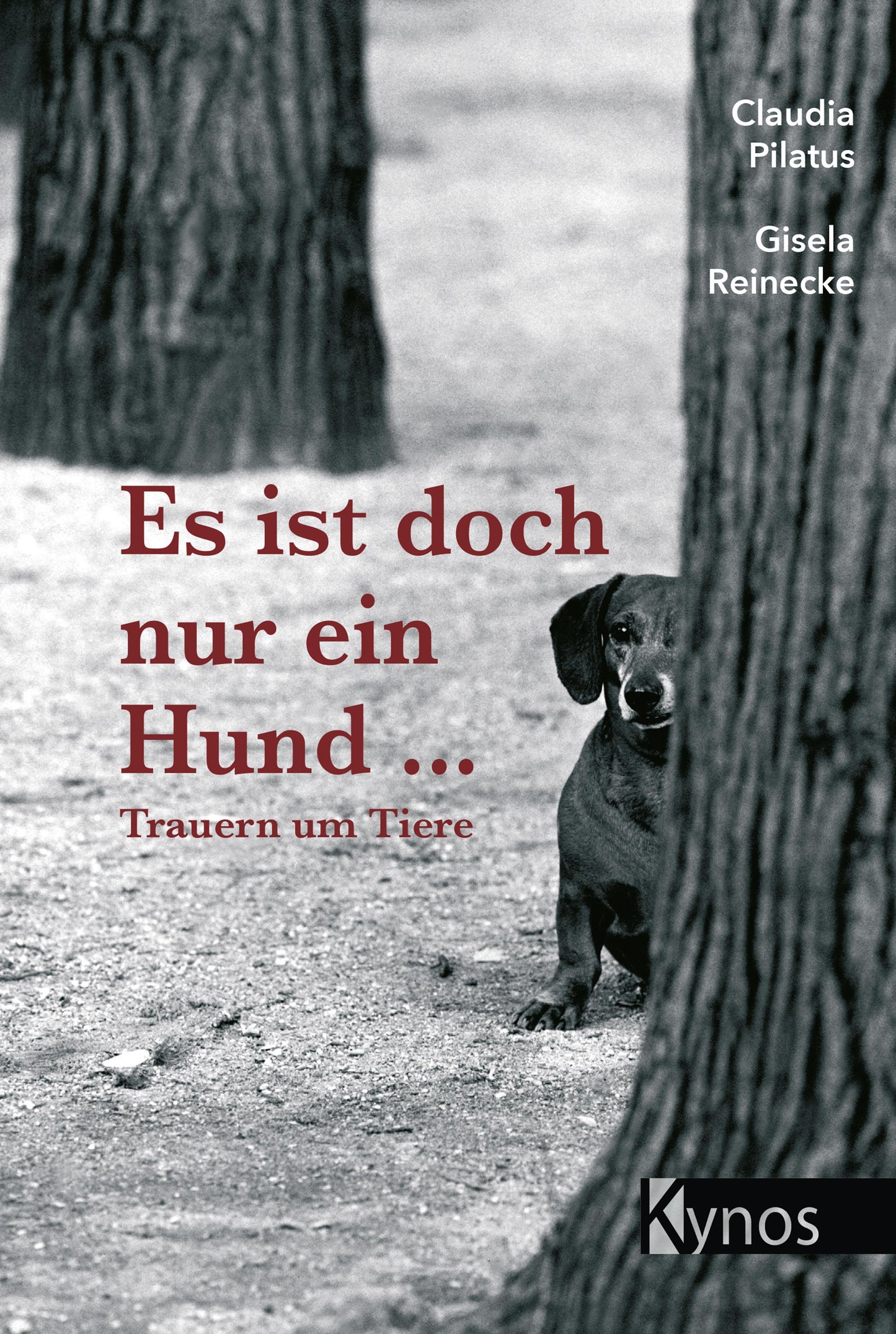 Buchcover: Es ist doch nur ein Hund ...
