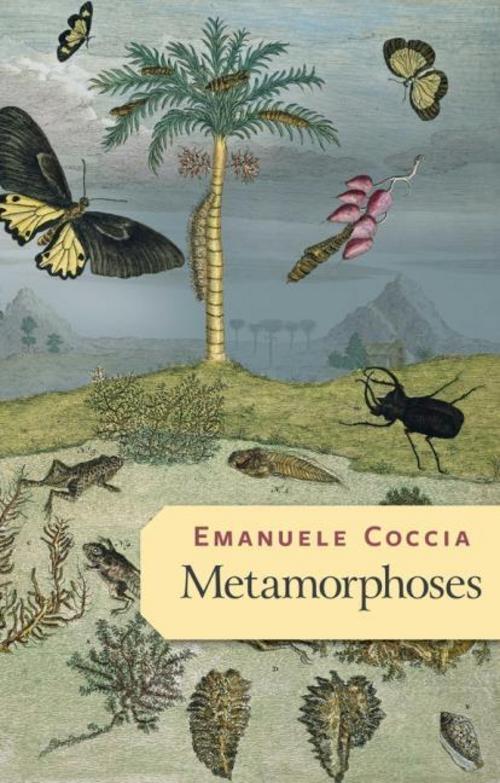 Buchcover: Metamorphoses