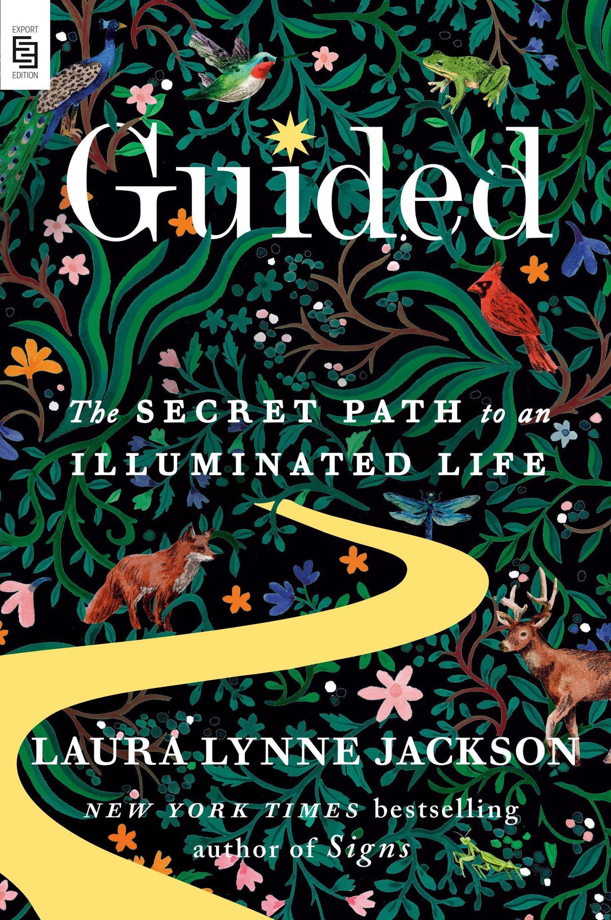 Buchcover: Guided
