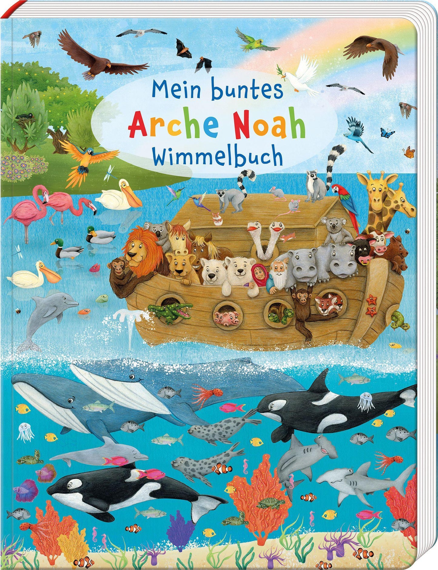 Lörks, Vera/Mein buntes Arche Noah Wimmelbuch