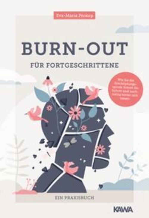 Buchcover: Burn-out für Fortgeschrittene