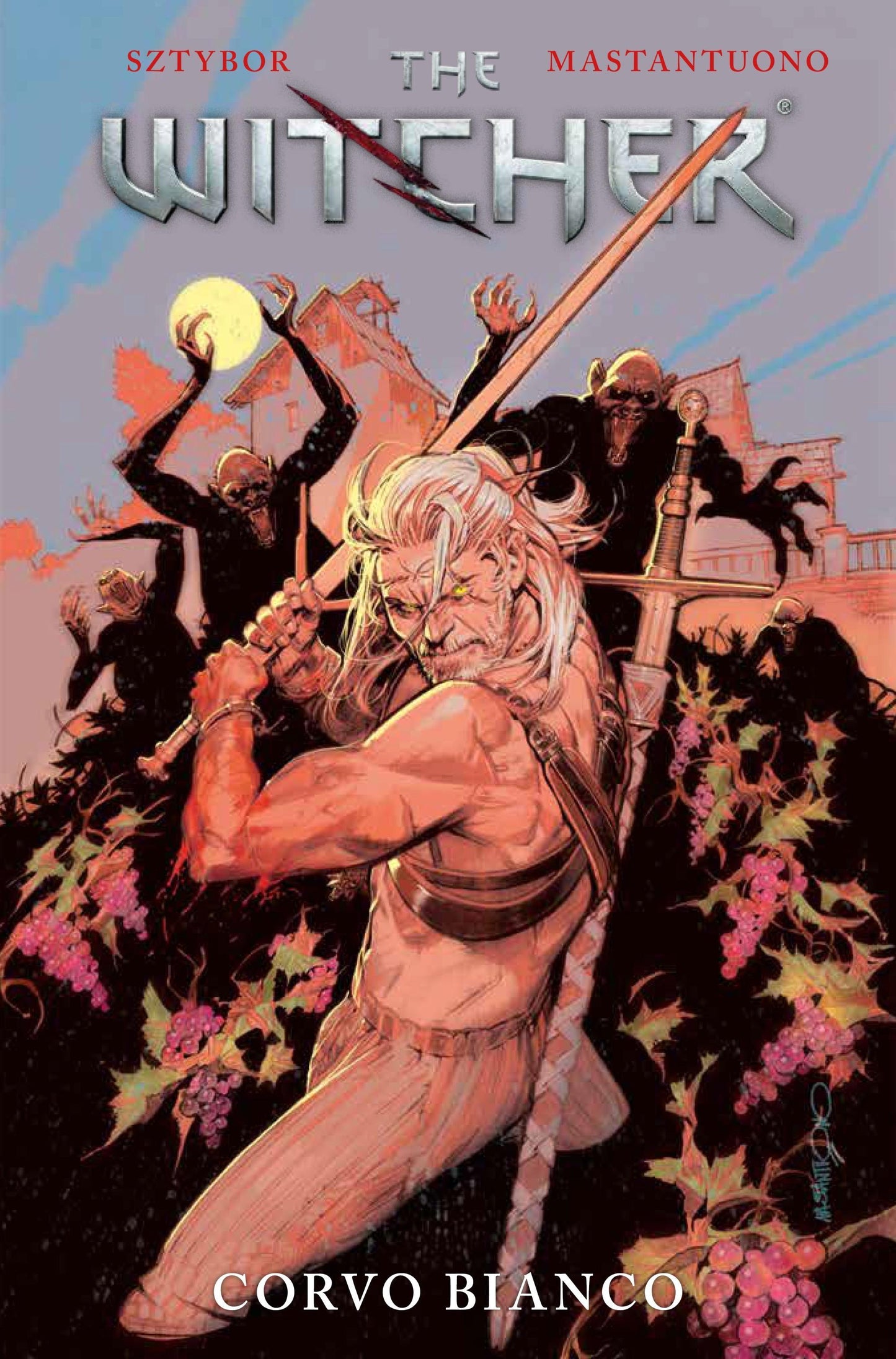 The Witcher