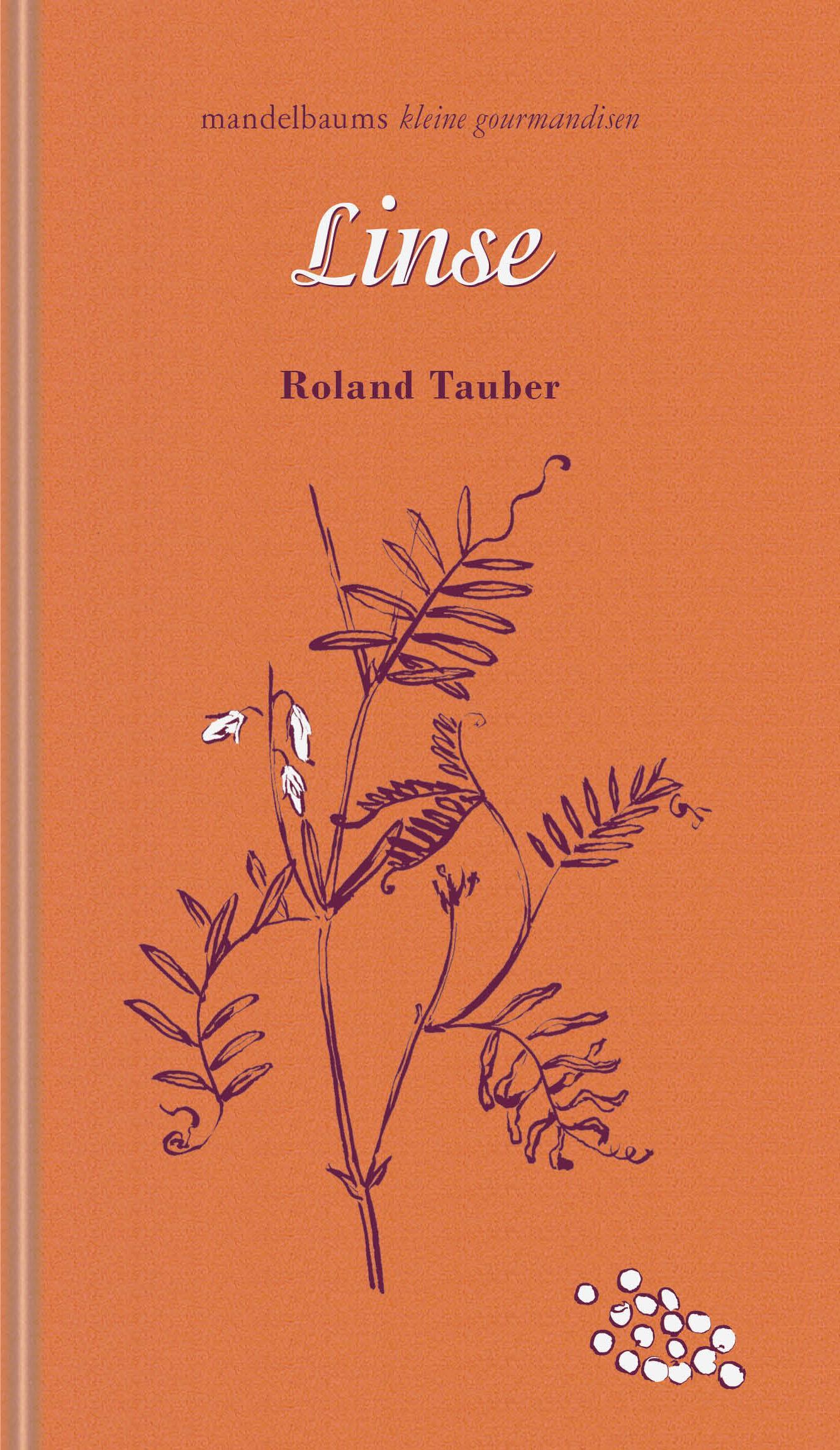 Buchcover: Linse