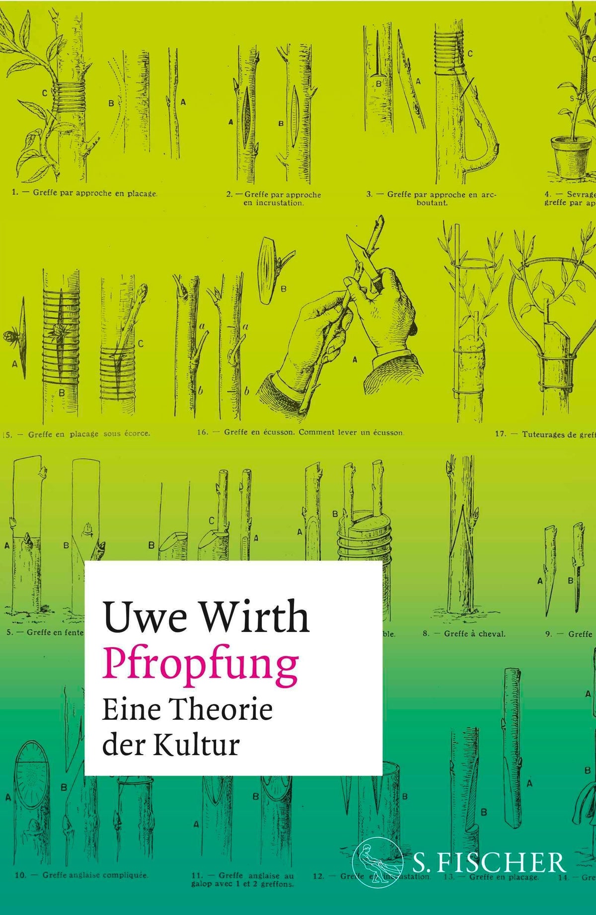 Buchcover: Pfropfung - Eine Theorie der Kultur