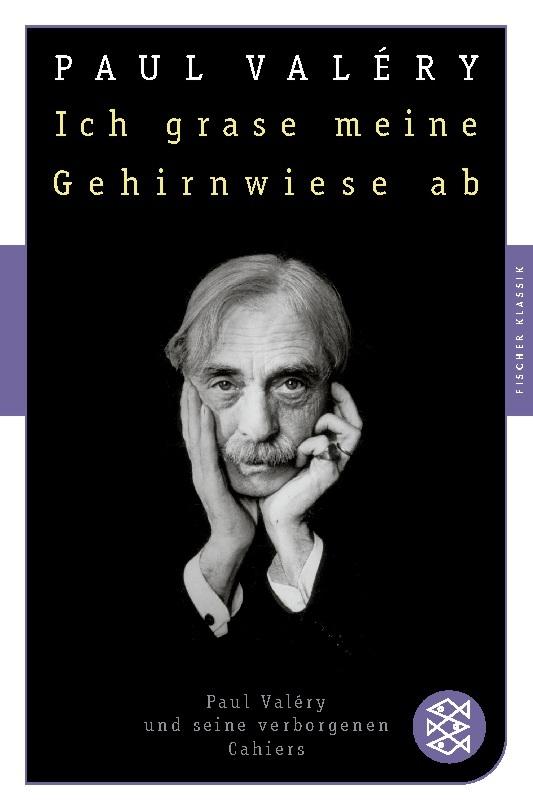 Ich grase meine Gehirnwiese ab