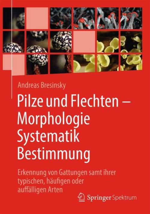 Buchcover: Pilze und Flechten - Morphologie, Systematik, Bestimmung