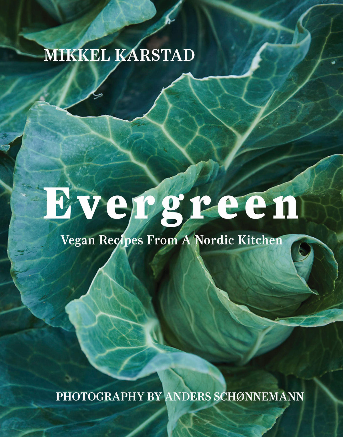 Buchcover: Evergreen