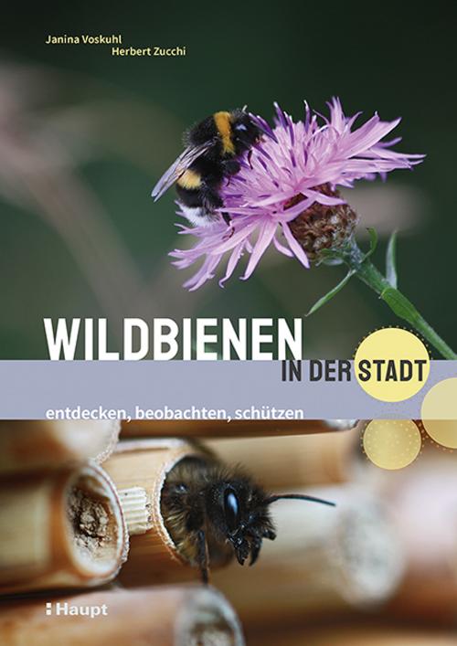 Buchcover: Wildbienen in der Stadt