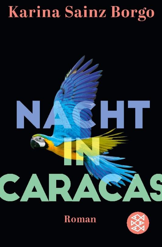 Nacht in Caracas