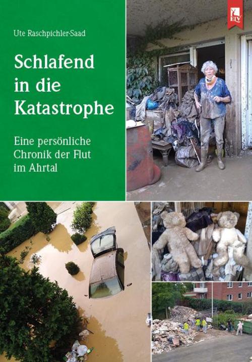 Buchcover: Schlafend in die Katastrophe