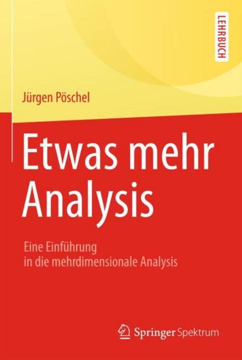 Buchcover: Etwas mehr Analysis