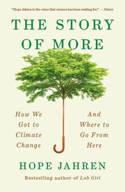 The Story of More