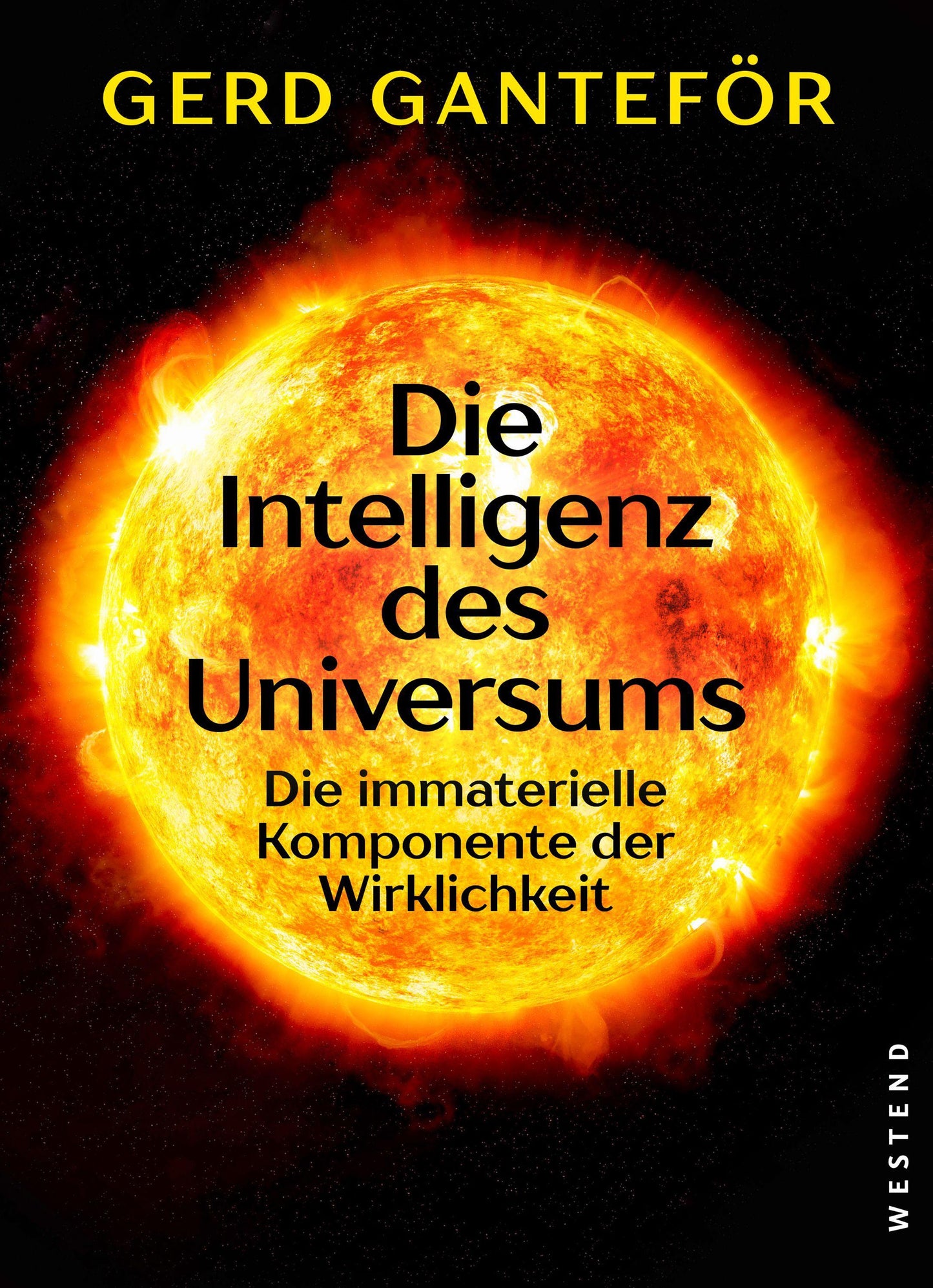 Die Intelligenz des Universums: Die immaterielle Komponente der Wirklichkeit
