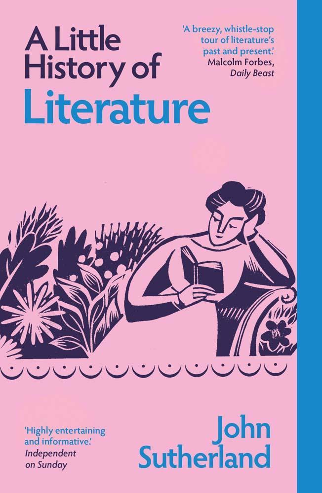 Buchcover: A Little History of Literature
