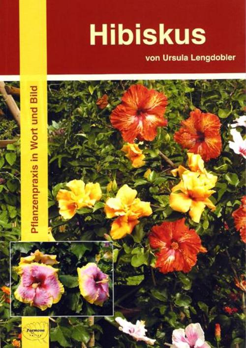 Buchcover: Hibiskus