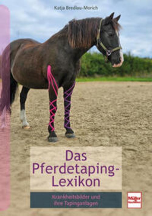 Pferdetaping-Lexikon: Krankheitsbilder und ihre Tapinganlagen