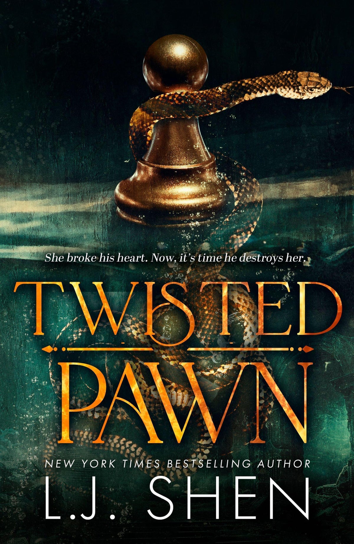 Buchcover: Twisted Pawn