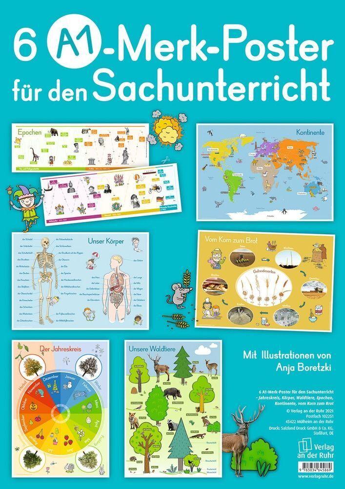 6 A1-Merk-Poster für den Sachunterricht  Jahreskreis, Körper, Waldtiere, Epochen, Kontinente, vom Korn zum Brot