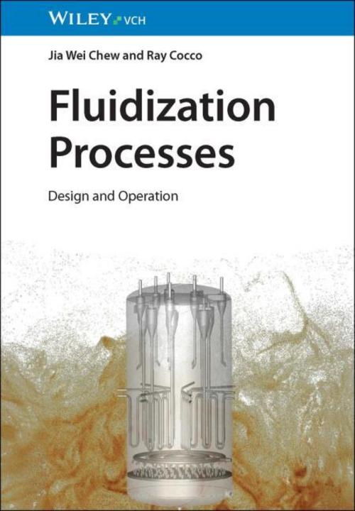 Buchcover: Fluidization Processes