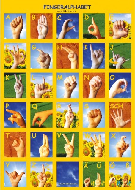 Buchcover: Schöll, C: Fingeralphabet - Plakat