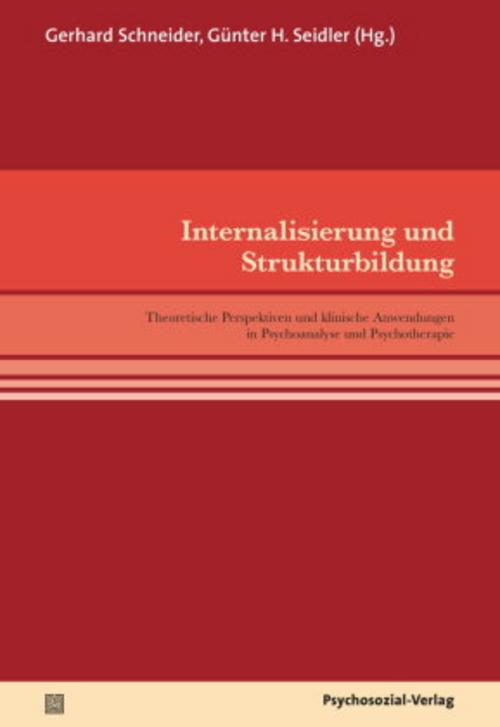Buchcover: Internalisierung und Strukturbildung