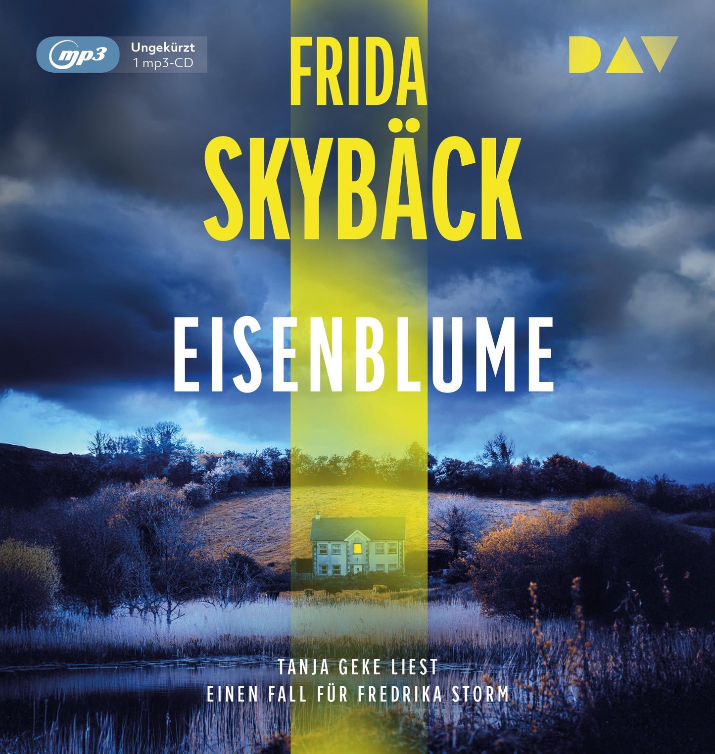 Eisenblume. Ein Fall für Fredrika Storm