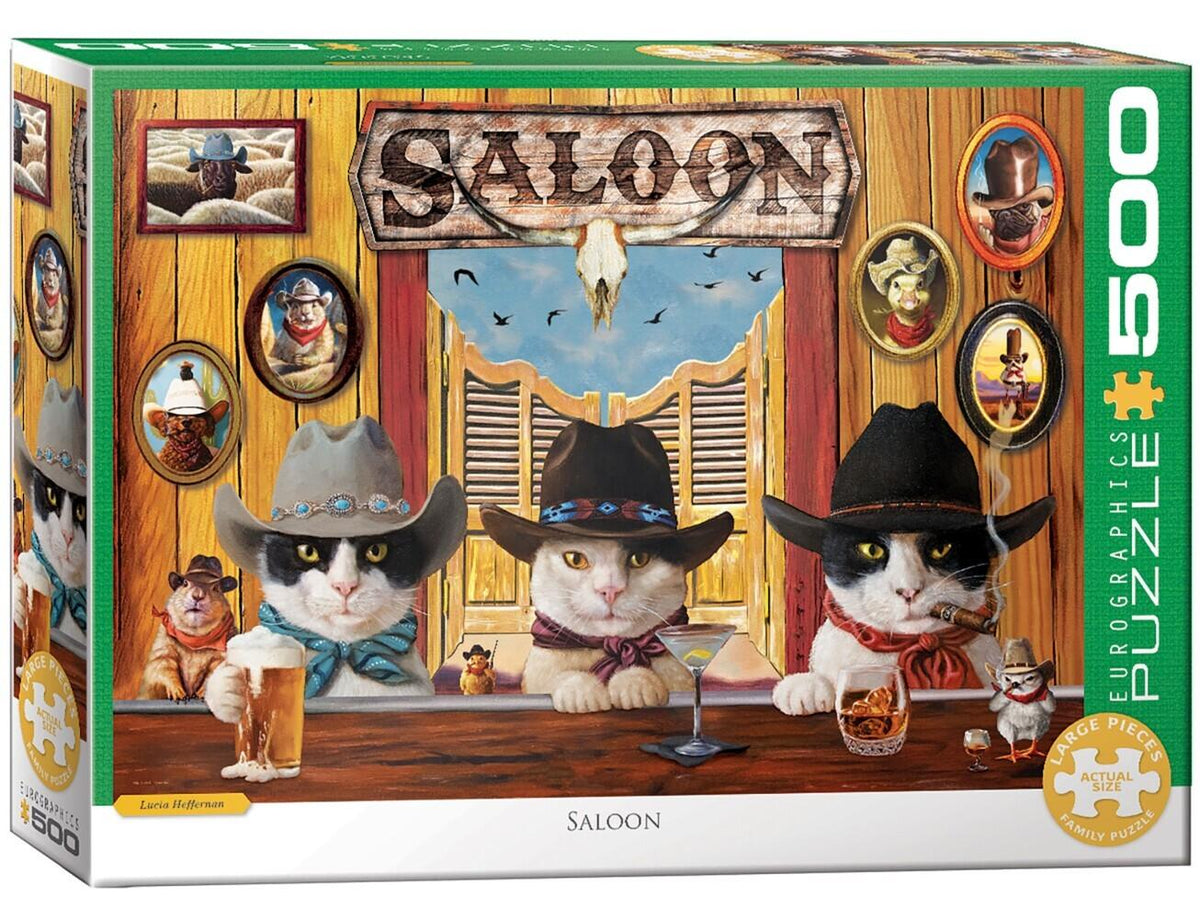 Buchcover: Saloon