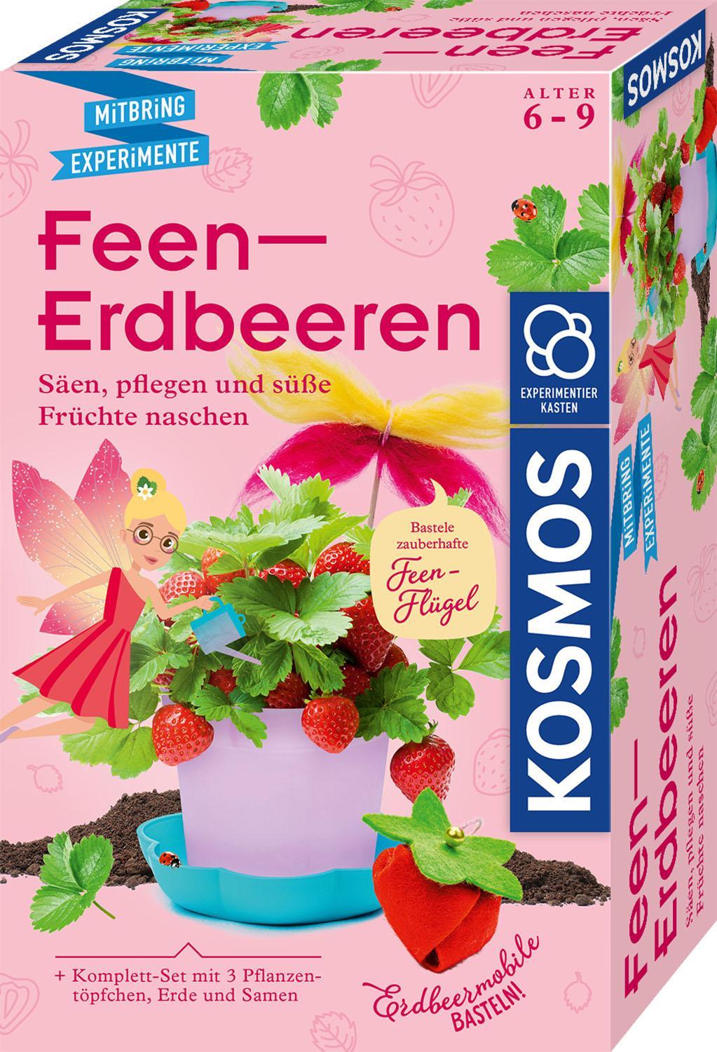 Buchcover: Feen-Erdbeeren