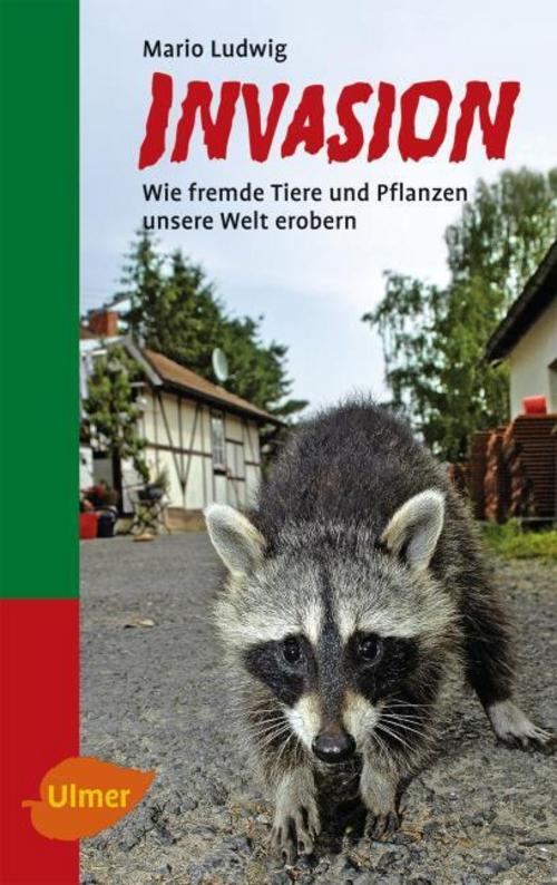 Buchcover: Invasion