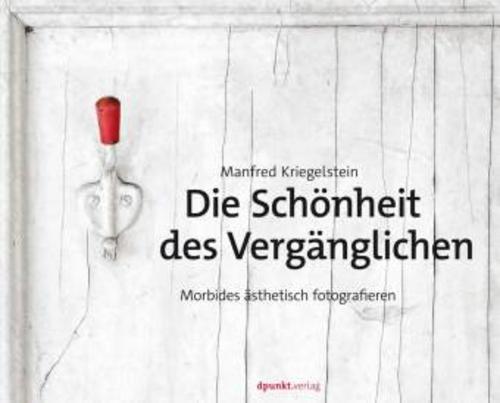 Buchcover: Die Schönheit des Vergänglichen