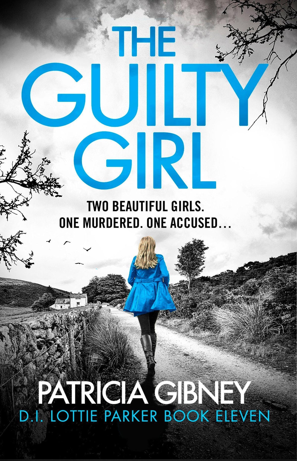 Buchcover: The Guilty Girl