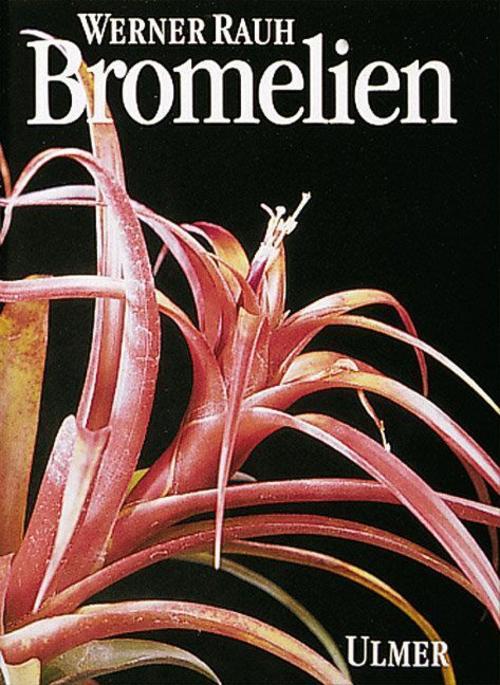 Buchcover: Bromelien