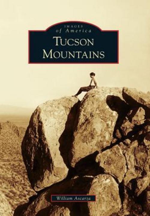 Buchcover: Tucson Mountains
