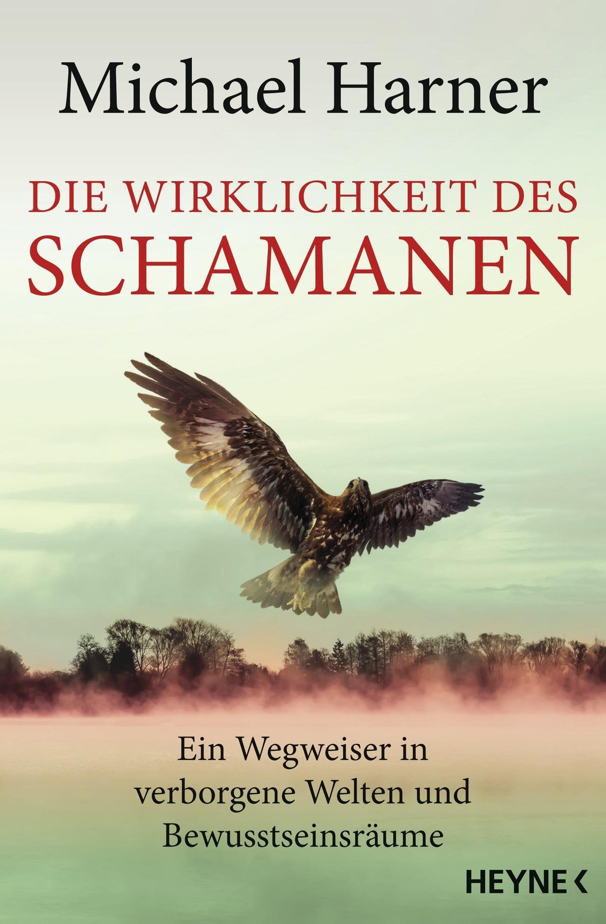 Buchcover: Die Wirklichkeit des Schamanen