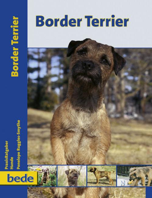 Buchcover: PraxisRatgeber Border Terrier