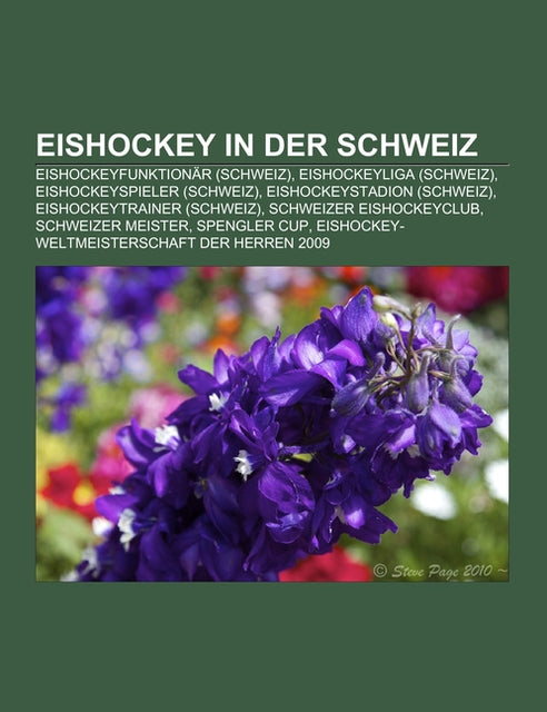 Eishockey in der Schweiz
