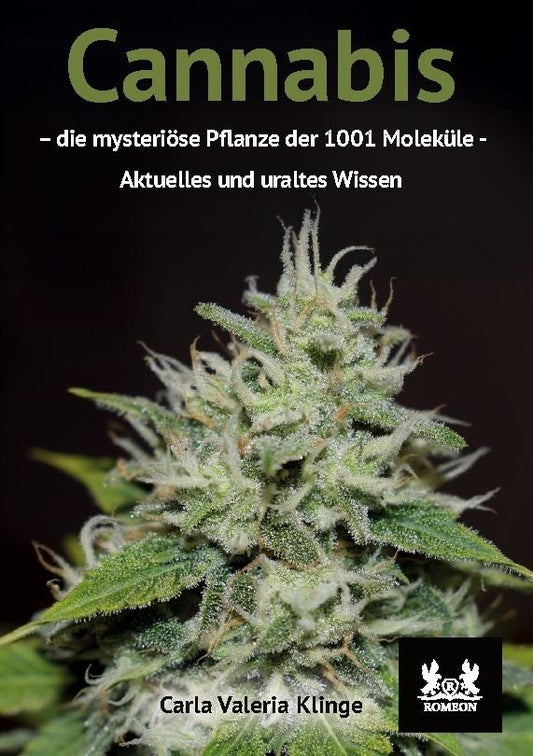 Cannabis