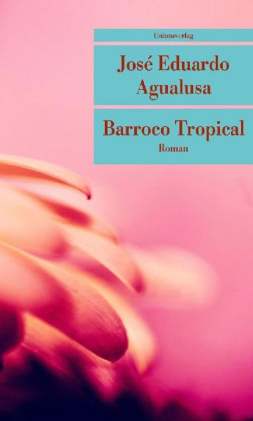 Buchcover: Barroco Tropical