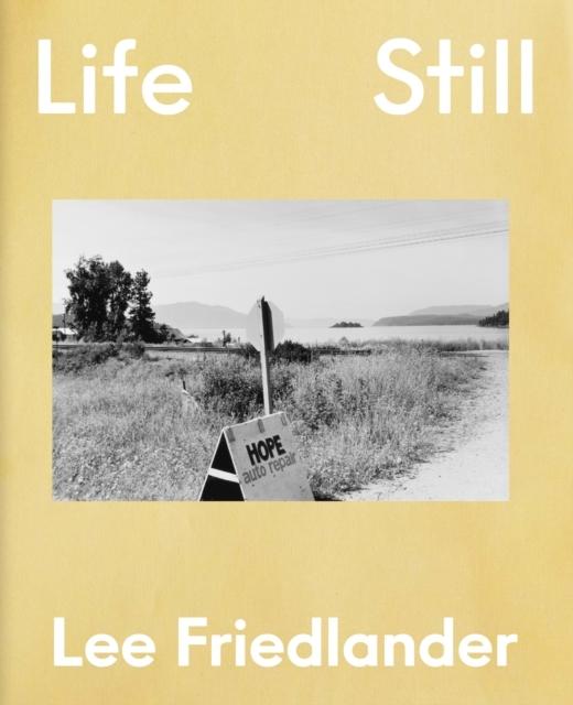 Lee Friedlander