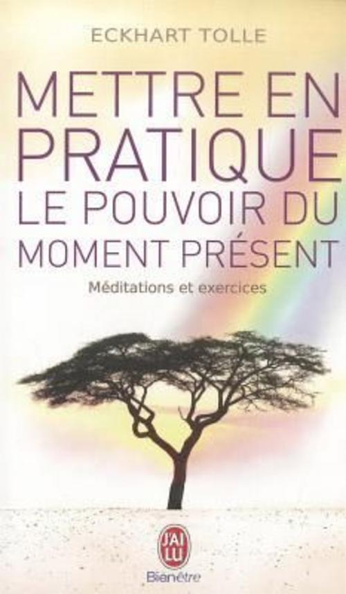Buchcover: Mettre en pratique le pouvoir du moment présent
