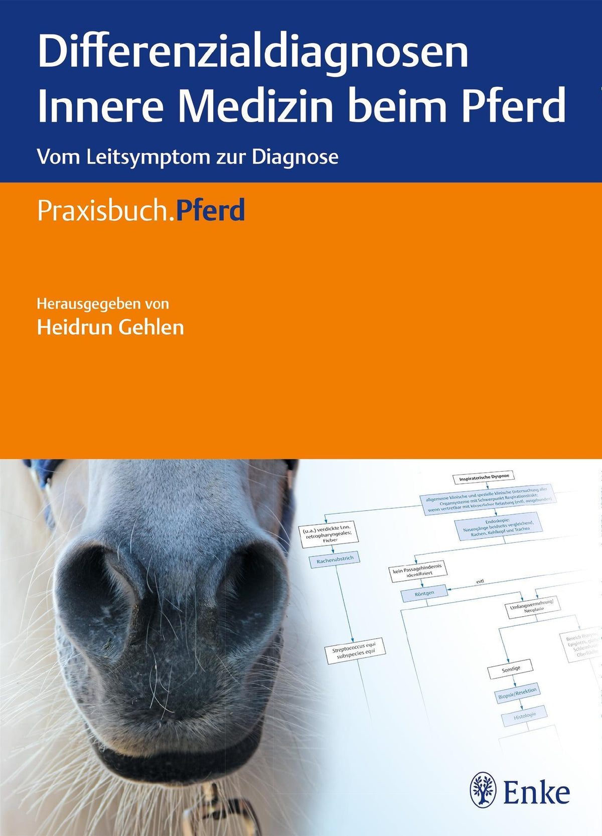 Buchcover: Differenzialdiagnosen Innere Medizin beim Pferd