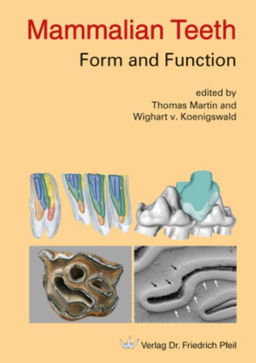 Buchcover: Mammalian Teeth - Form and Function