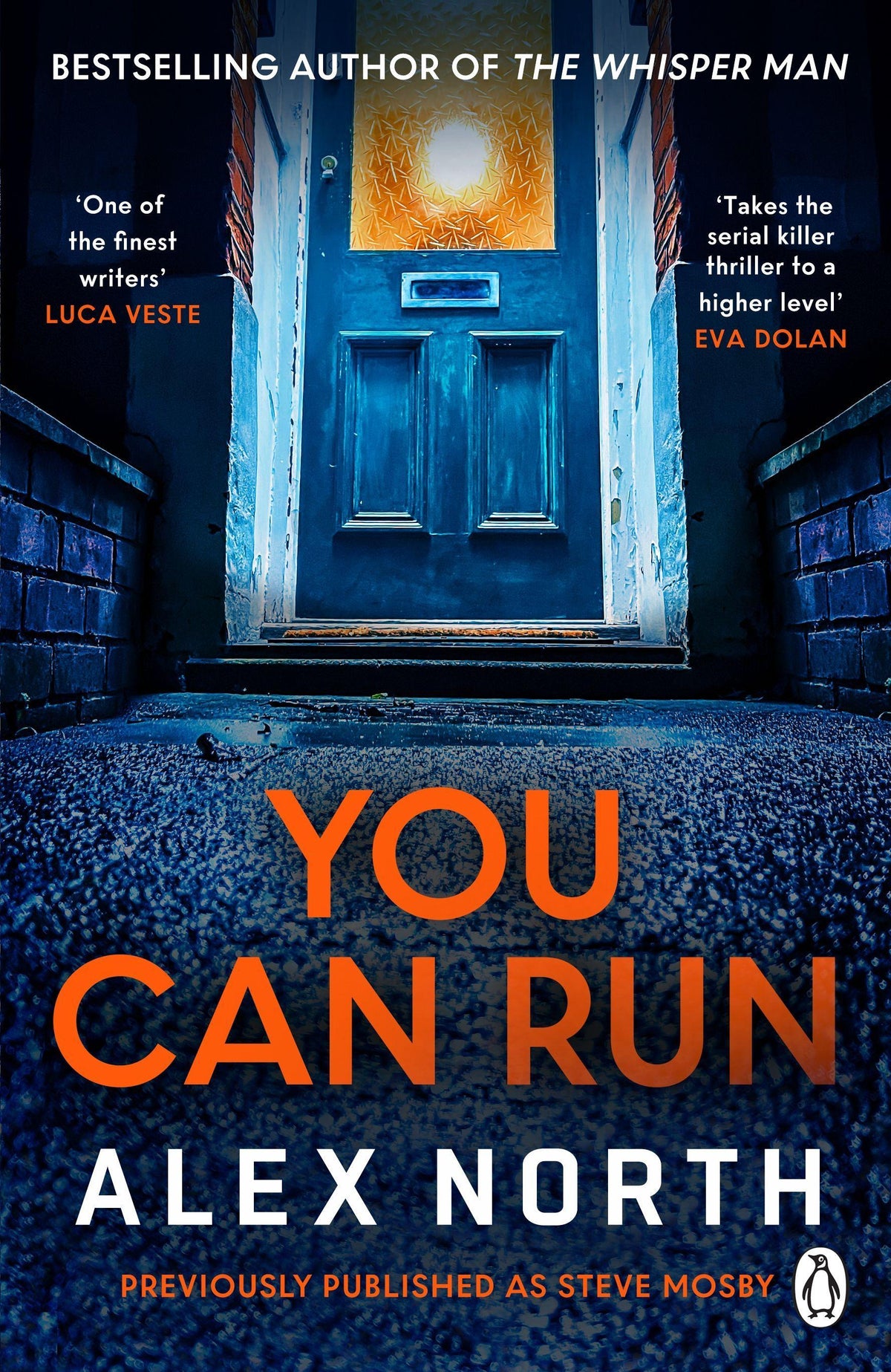 Buchcover: You Can Run