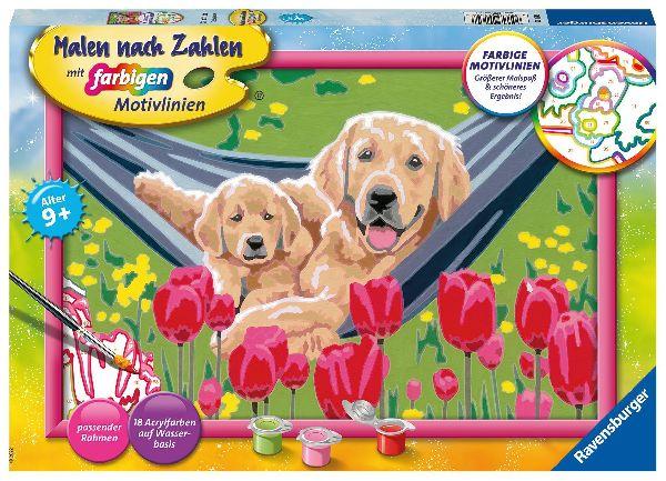 Buchcover: Malen nach Zahlen CreArt - Kuschelpause