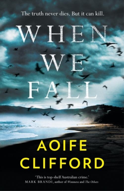 Buchcover: When We Fall